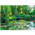 PUZZLE 1500 : JARDINS GIVERNY