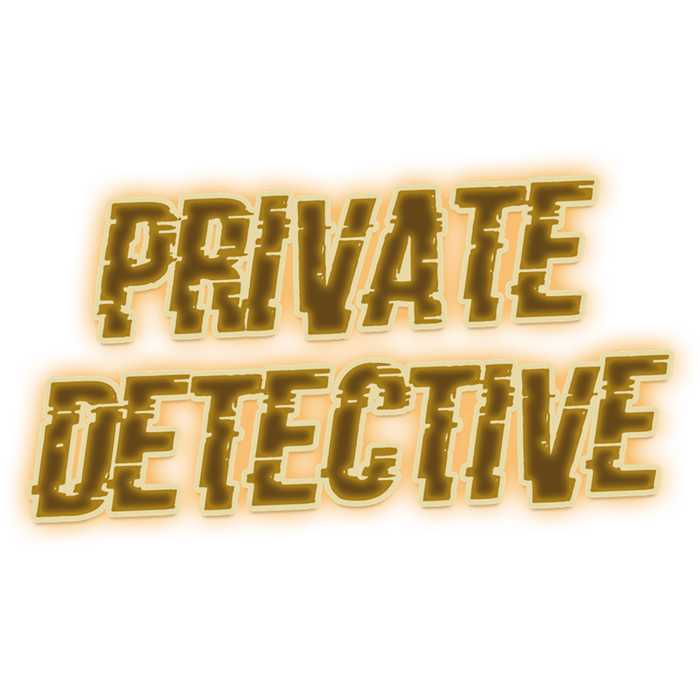 PRIVATE DETECTIVE ENQUETE 1